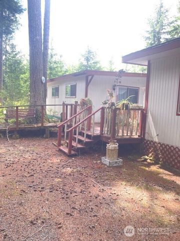 50 N Quinault Place, Hoodsport, WA 98548