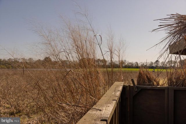 29245 HOWELL POINT RD, Trappe, MD 21673