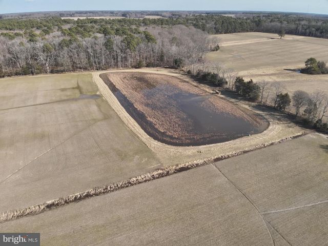 29245 HOWELL POINT RD, Trappe, MD 21673