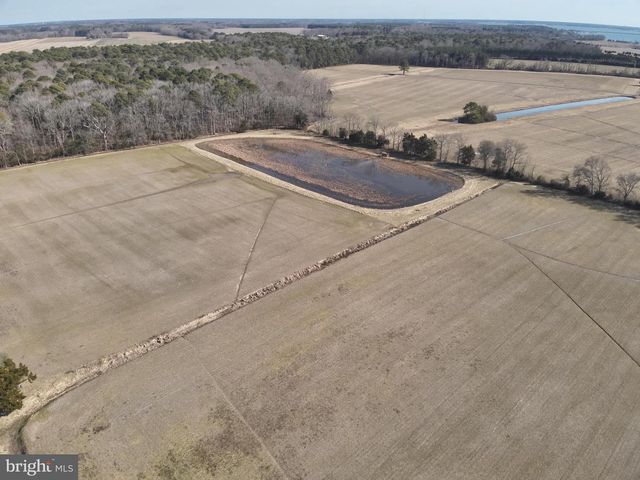 29245 HOWELL POINT RD, Trappe, MD 21673