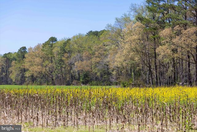 29245 HOWELL POINT RD, Trappe, MD 21673