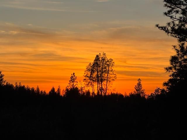 12767 Newtown Rd, Nevada City, CA 95959