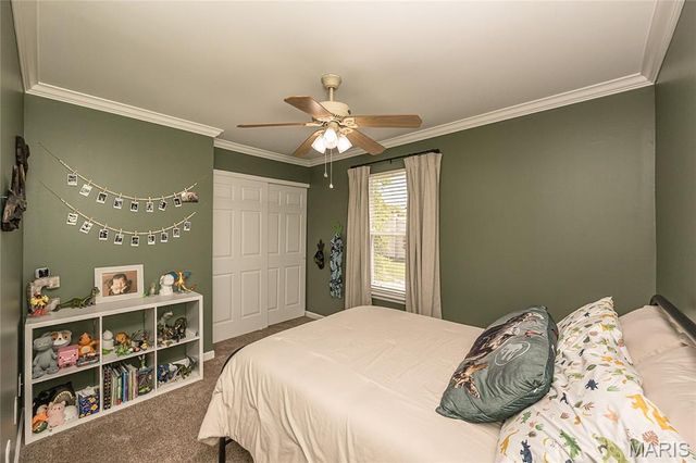 7313 Cinnamon Teal Drive, O'fallon, MO 63368
