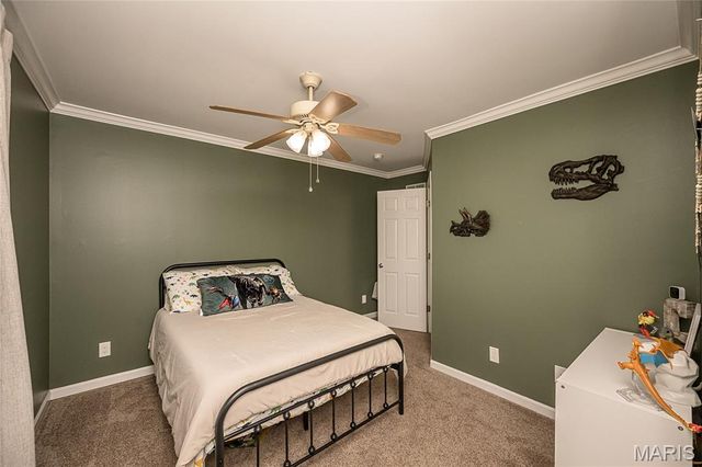 7313 Cinnamon Teal Drive, O'fallon, MO 63368