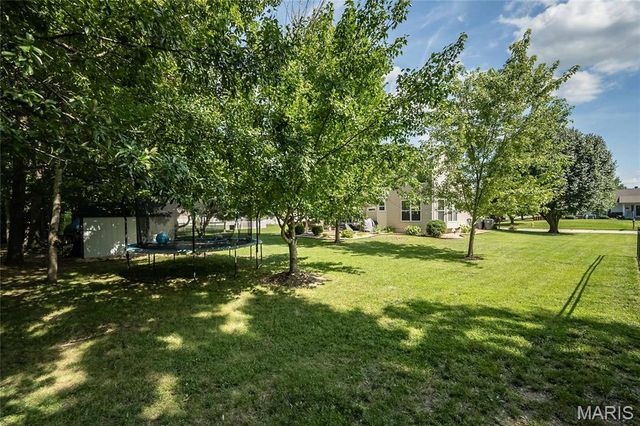 7313 Cinnamon Teal Drive, O'fallon, MO 63368