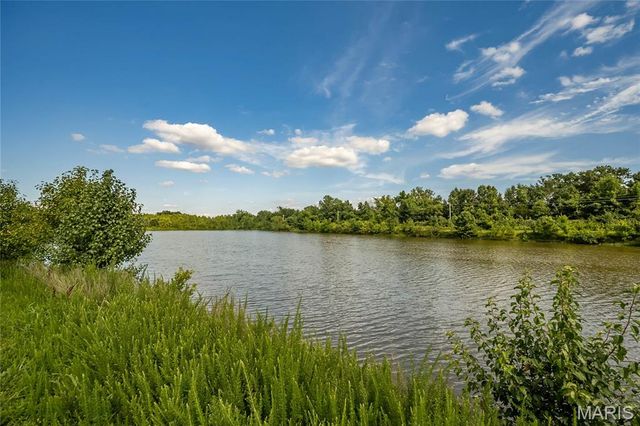 7313 Cinnamon Teal Drive, O'fallon, MO 63368