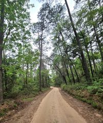 0 Turner Road, Cleveland, TX 77328