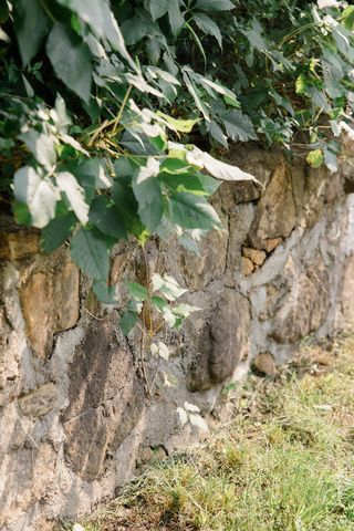 19429 East State Highway 14, Ava, MO 65608