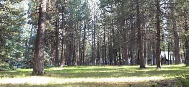51830 Pine Loop Drive, La Pine, OR 97739
