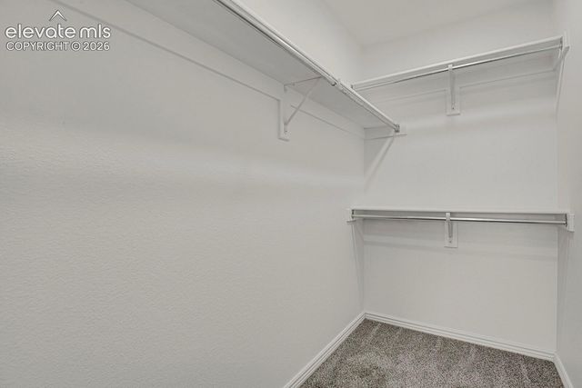 6273 SCOTTSBLUFF Drive, Colorado Springs, CO 80923