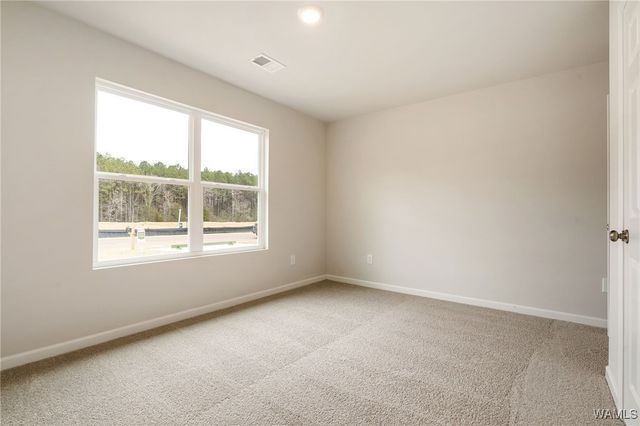 11181 Snapdragon Cove, Tuscaloosa, AL 35405