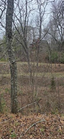 205 Posey Place, Murphy, NC 28906