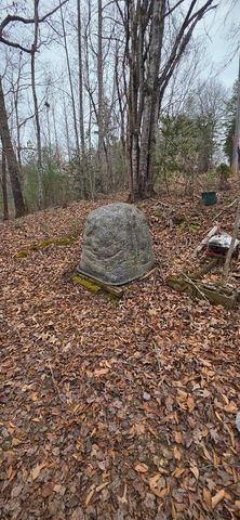 205 Posey Place, Murphy, NC 28906