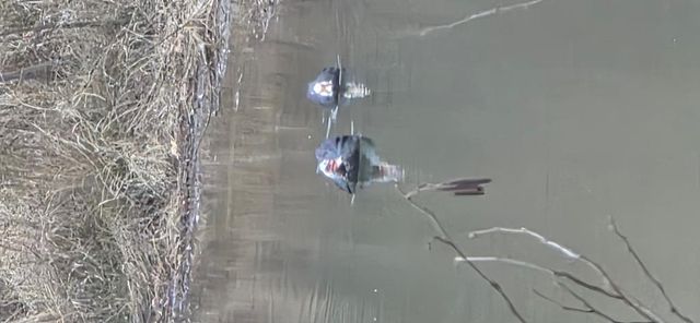 205 Posey Place, Murphy, NC 28906