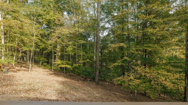 3575 Tyree Springs Rd, Hendersonville, TN 37075