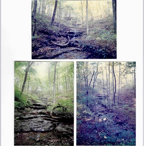 3575 Tyree Springs Rd, Hendersonville, TN 37075