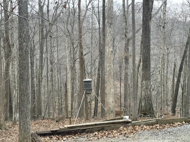 3575 Tyree Springs Rd, Hendersonville, TN 37075