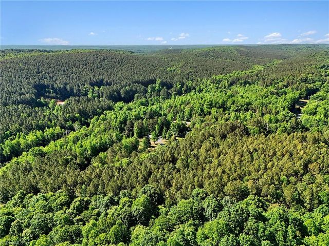 1067 Angel Fire Trail, Seagrove, NC 27341