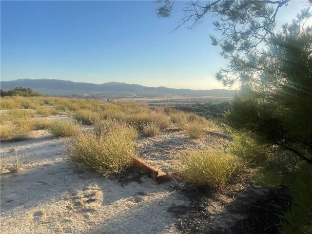 33 Sweetbush, Anza, CA 92539