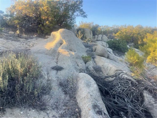 33 Sweetbush, Anza, CA 92539