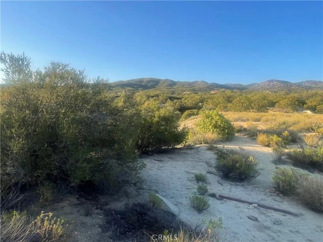 33 Sweetbush, Anza, CA 92539