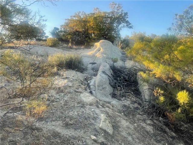 33 Sweetbush, Anza, CA 92539