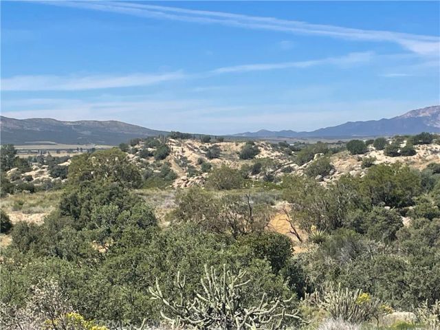 33 Sweetbush, Anza, CA 92539