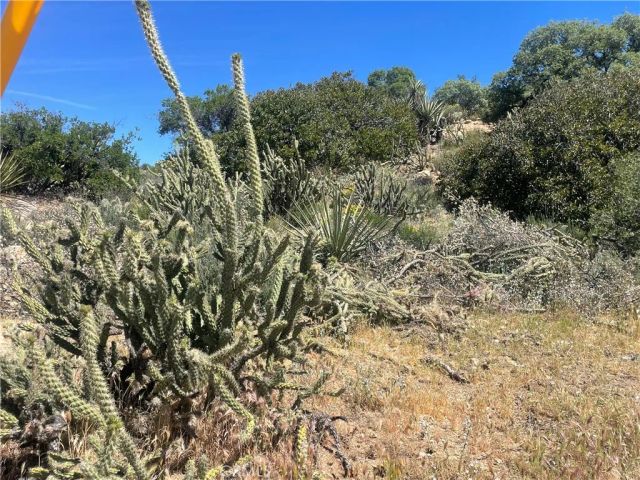 33 Sweetbush, Anza, CA 92539