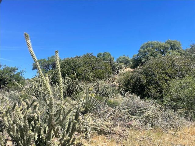 33 Sweetbush, Anza, CA 92539