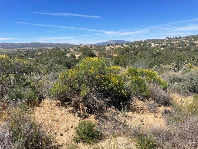 33 Sweetbush, Anza, CA 92539