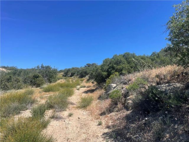 33 Sweetbush, Anza, CA 92539