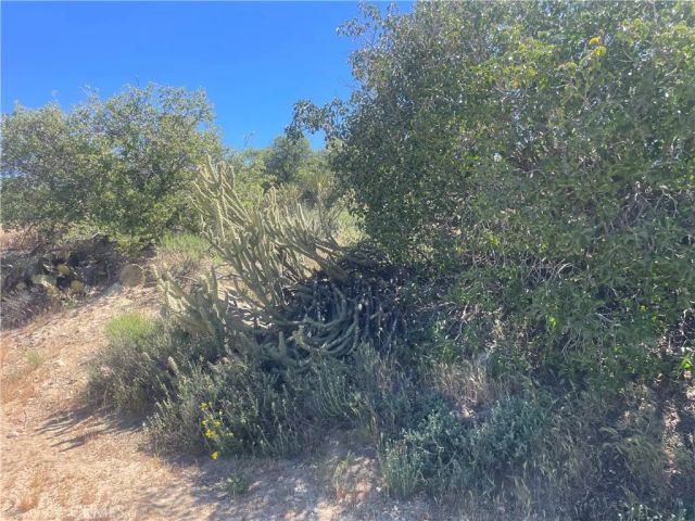 33 Sweetbush, Anza, CA 92539