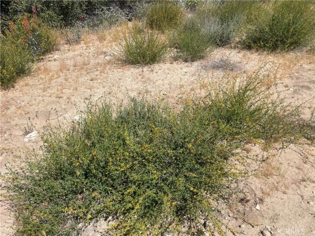 33 Sweetbush, Anza, CA 92539