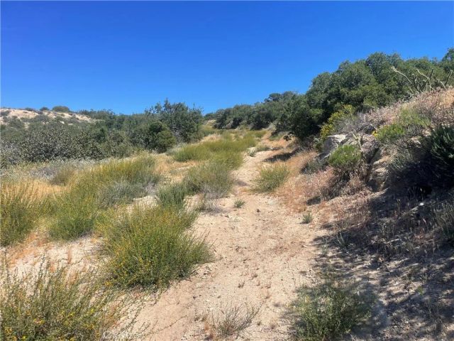 33 Sweetbush, Anza, CA 92539