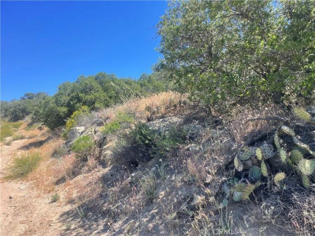 33 Sweetbush, Anza, CA 92539