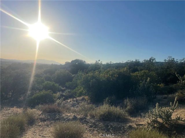 33 Sweetbush, Anza, CA 92539