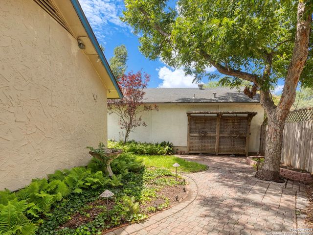 13303 Lobelia, San Antonio, TX 78232