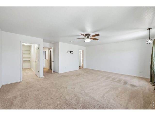 3611 Daylily St, Wellington, CO 80549
