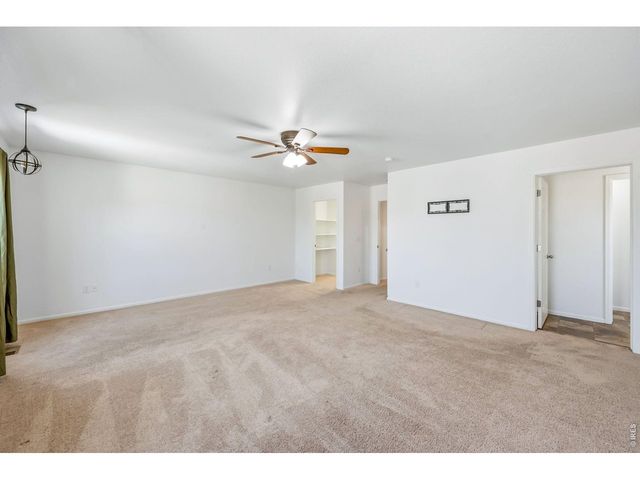3611 Daylily St, Wellington, CO 80549