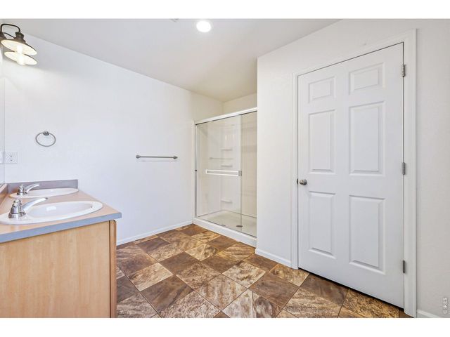 3611 Daylily St, Wellington, CO 80549