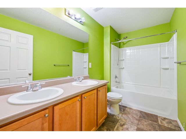 3611 Daylily St, Wellington, CO 80549