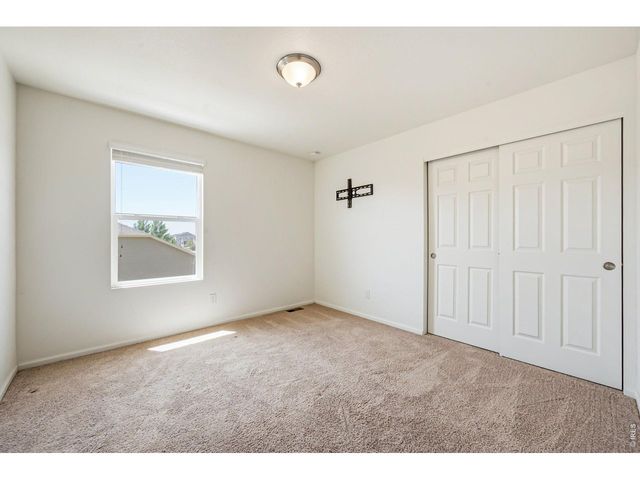 3611 Daylily St, Wellington, CO 80549