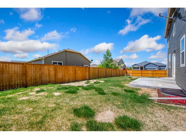 3611 Daylily St, Wellington, CO 80549