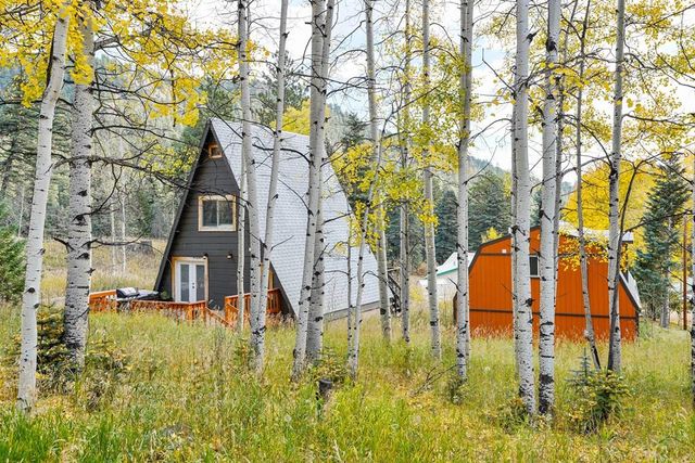 48 Angel Rd, Rye, CO 81069