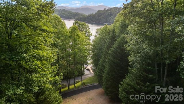 317 Von Trapp Lane, Tuckasegee, NC 28783