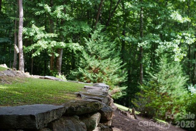 317 Von Trapp Lane, Tuckasegee, NC 28783