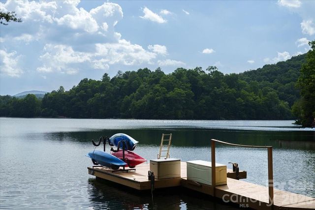 317 Von Trapp Lane, Tuckasegee, NC 28783