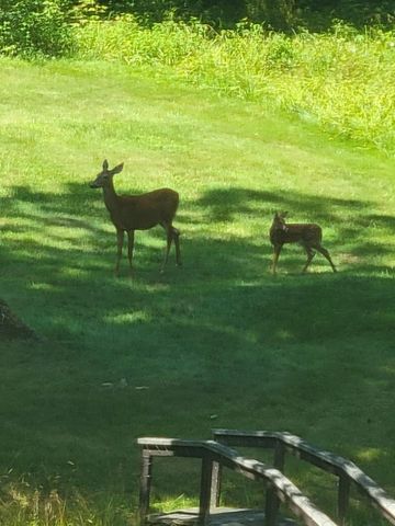 74 NH Route 107, Epsom, NH 03234