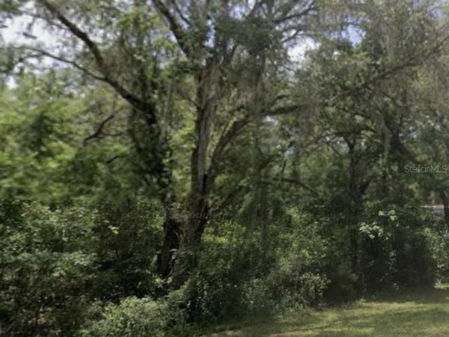 LAKE LINDSEY ROAD, Nobleton, FL 34661