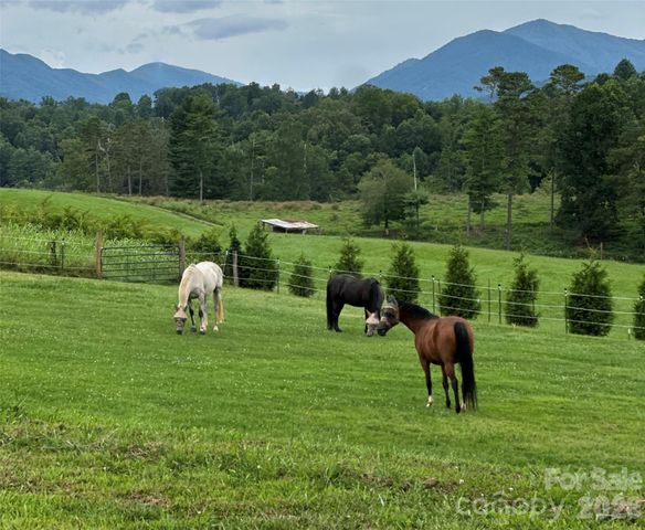 1552 Bear Creek Road, Leicester, NC 28748